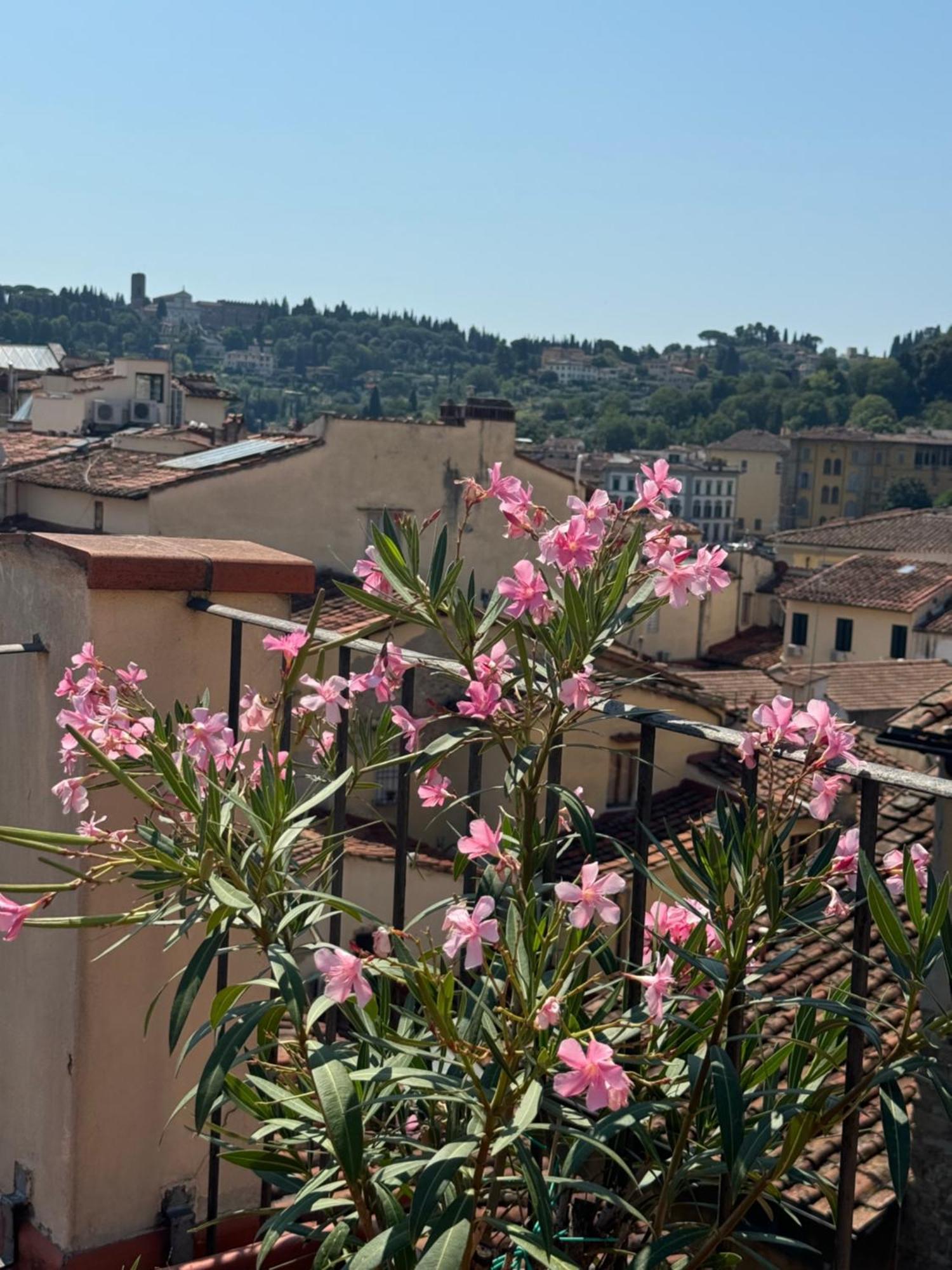 Firenze Panorama Suite & Terrace Bagian luar foto